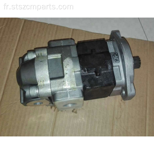 HM250-2 HM300-2 Pompe à équipement hydraulique 705-95-07020